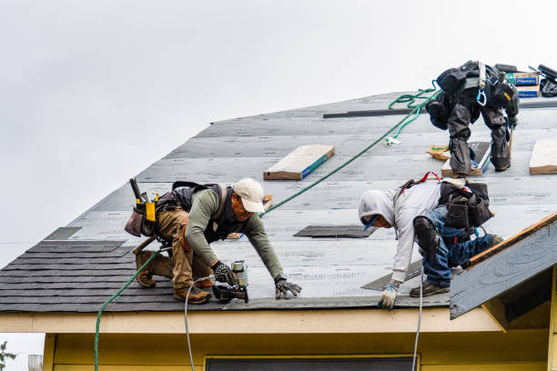 Professional Roofing technician working in Industry, IL